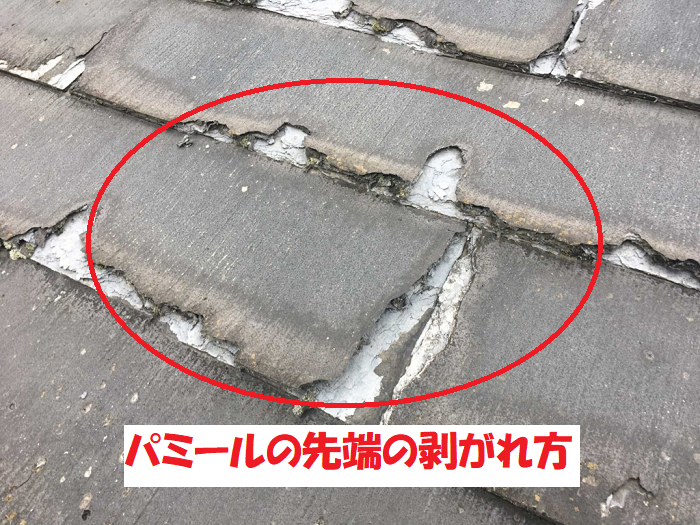 パミールの先端から捲れあがった様子